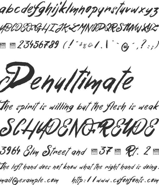 Esteban&Solina_PersonalUseOnly font preview