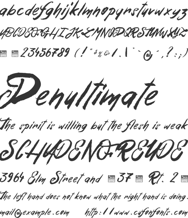 Esteban&Solina_PersonalUseOnly font preview