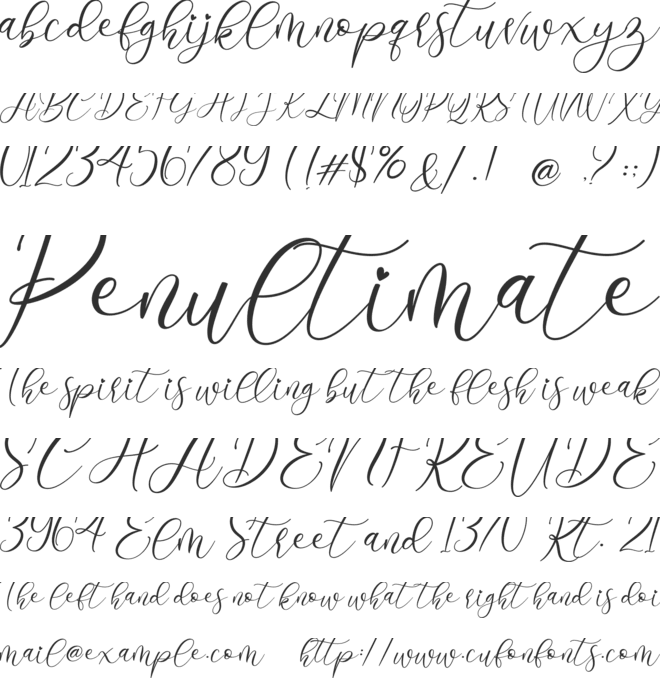 Angelia font preview
