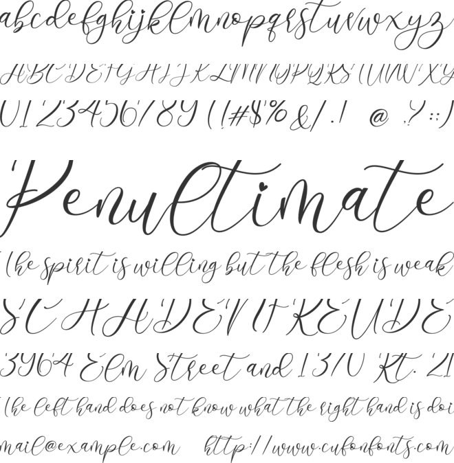 Angelia font preview