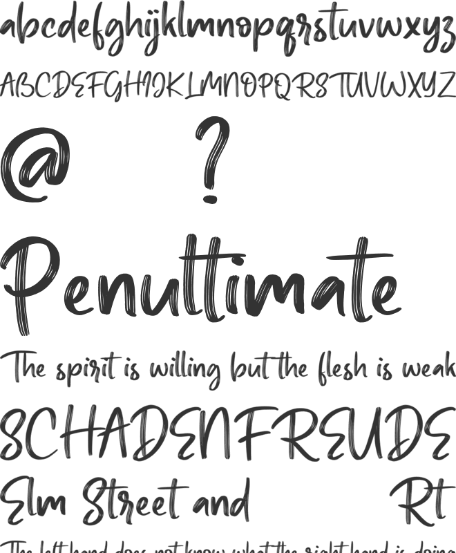 Barty Allen font preview