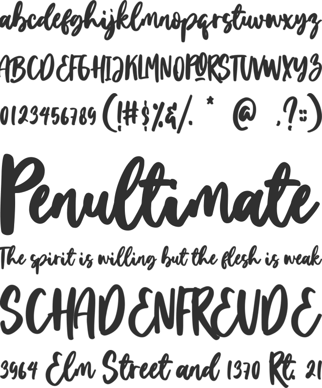 Homeday font preview