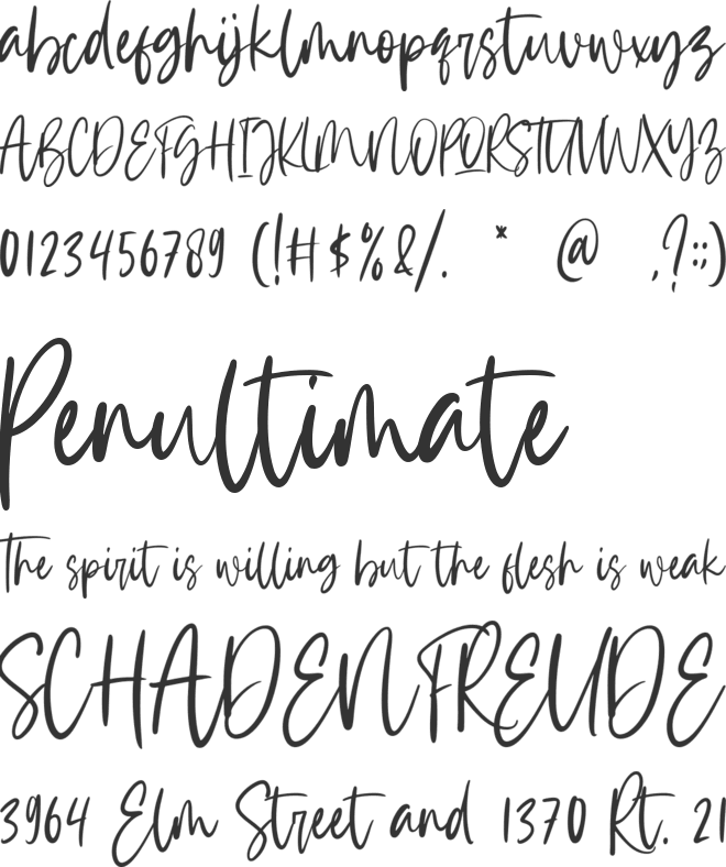 Krispy Panda font preview