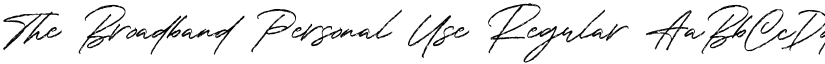 The Broadband Personal Use font download