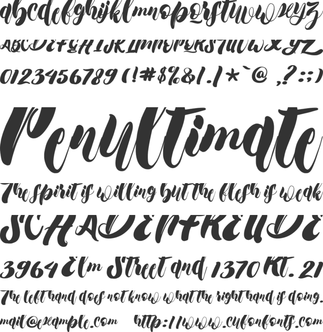 Darlington font preview
