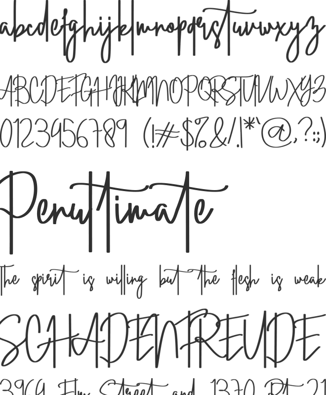 Straight Signature font preview
