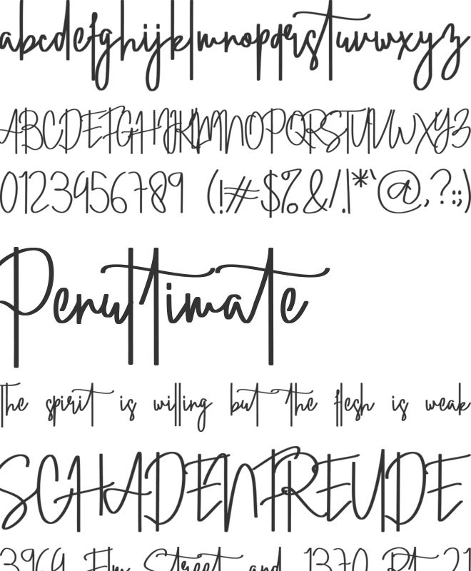 Straight Signature font preview