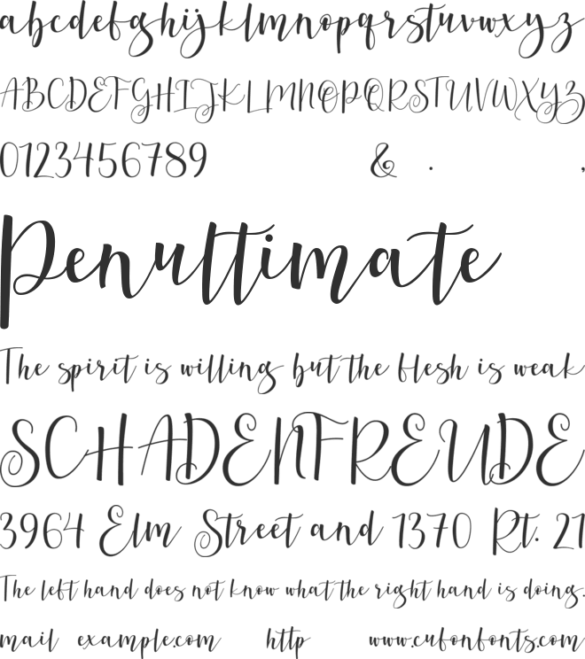 Berlina Script  Personal Use font preview