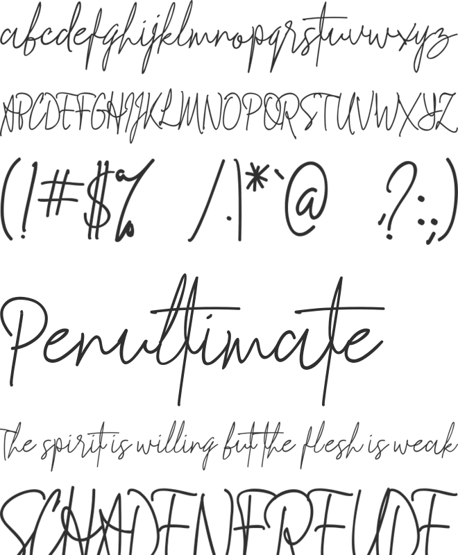 Signathy Font font preview