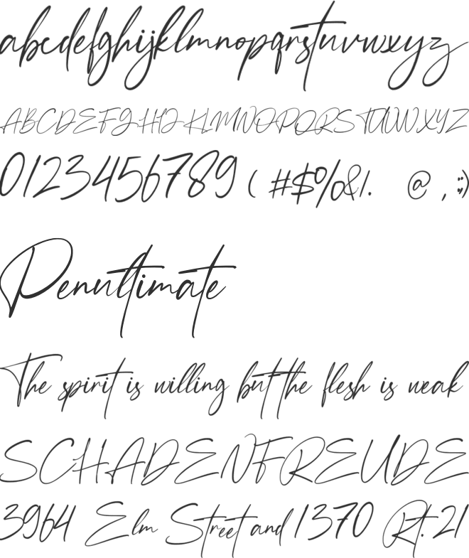 Anamortee font preview