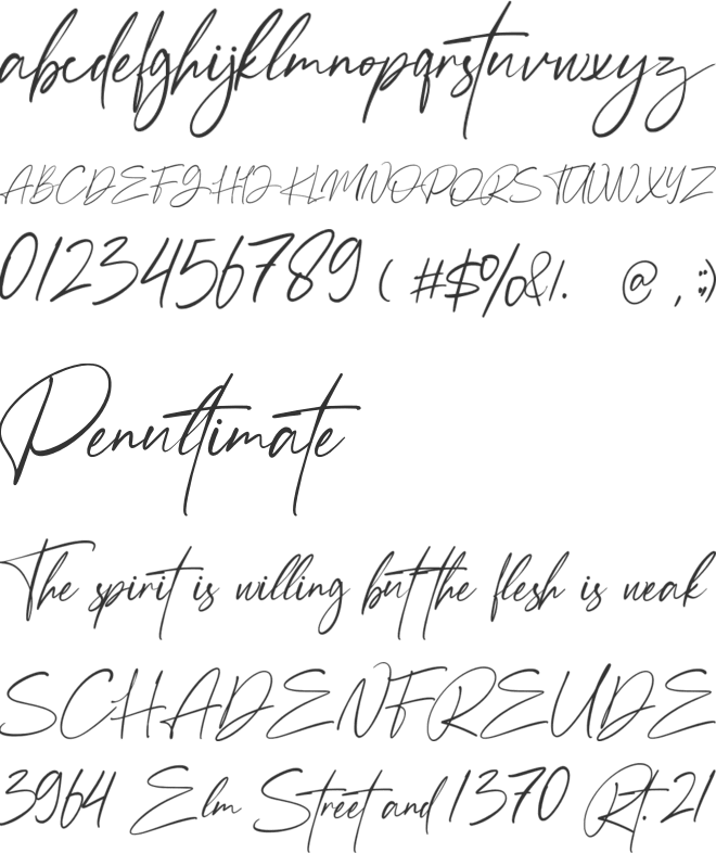 Anamortee font preview
