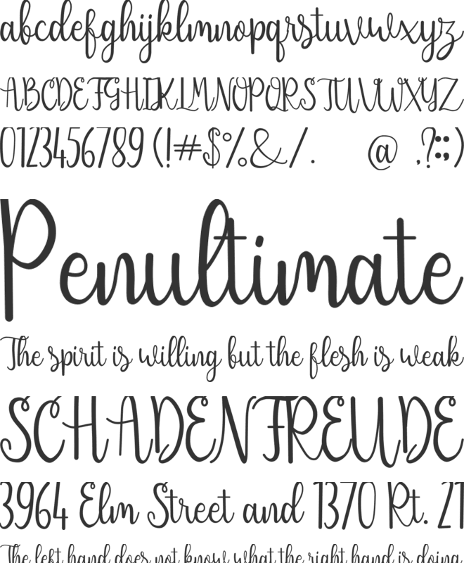 Sendica font preview
