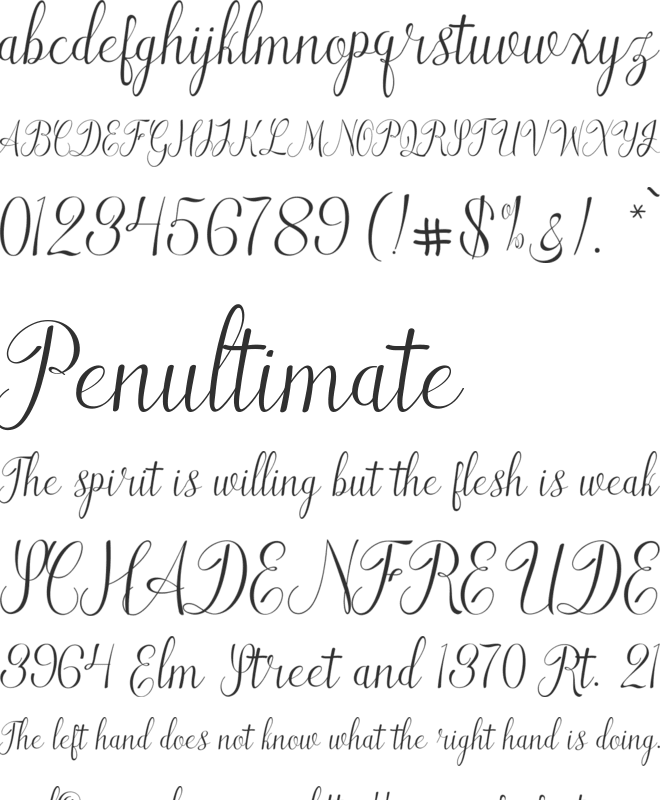 Qualyty Free font preview