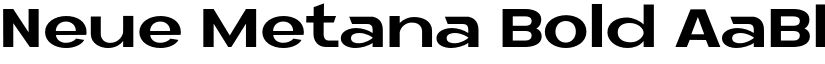 Neue Metana Bold font