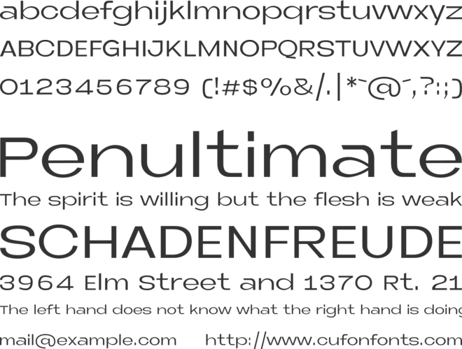 Neue Metana font preview