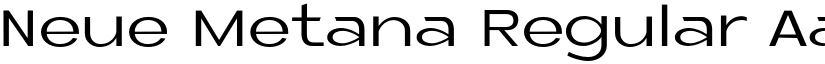Neue Metana Regular font
