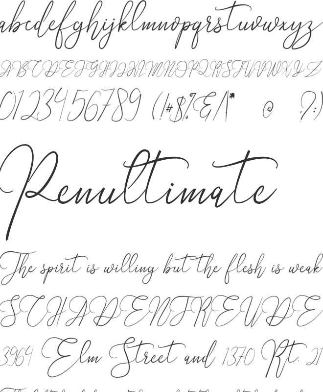 Alifiyah font preview