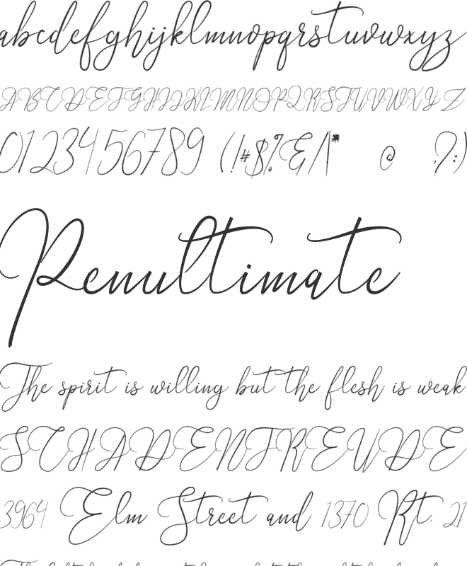 Alifiyah font preview