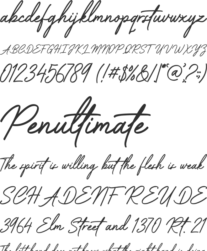 Capetown Signature font preview