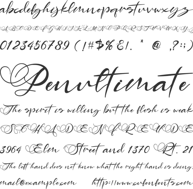 Angelin font preview