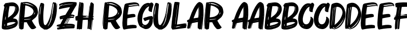 Bruzh Regular font