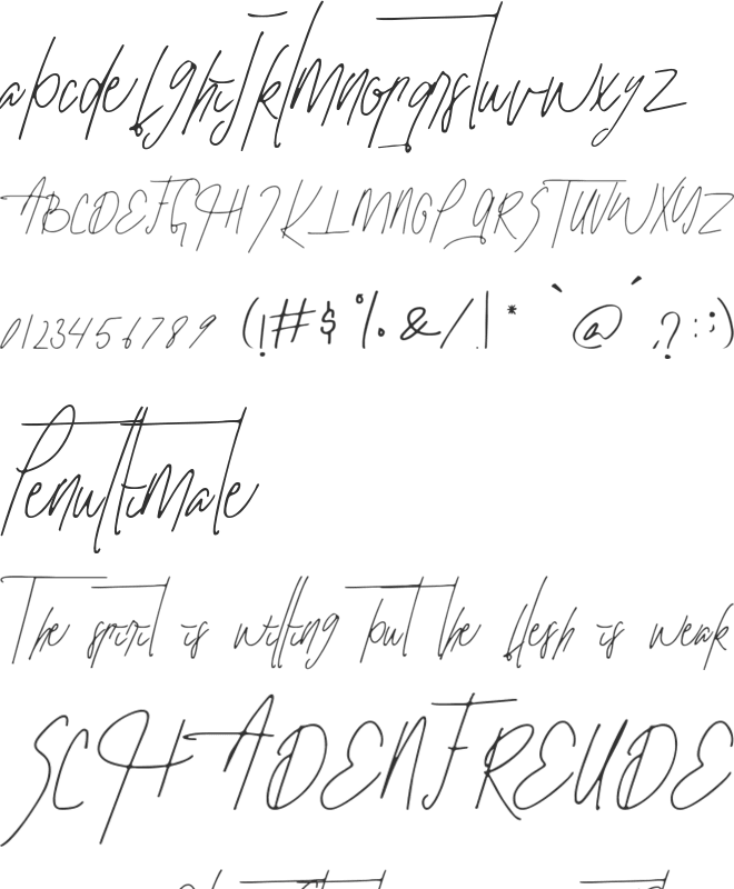 Hillary font preview