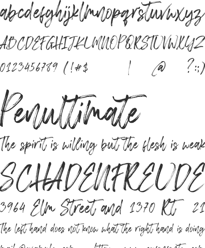 Chelistine Script font preview