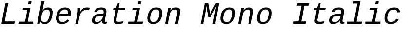 Liberation Mono Italic font