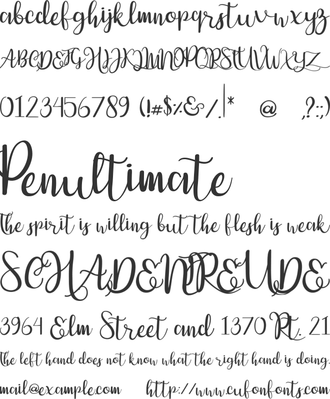 Dulce Nina font preview