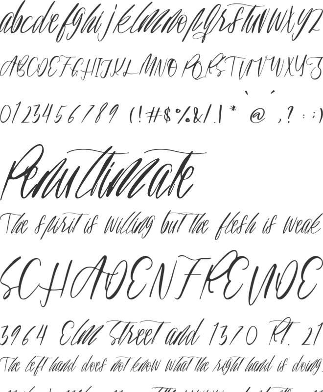 Bellorina font preview