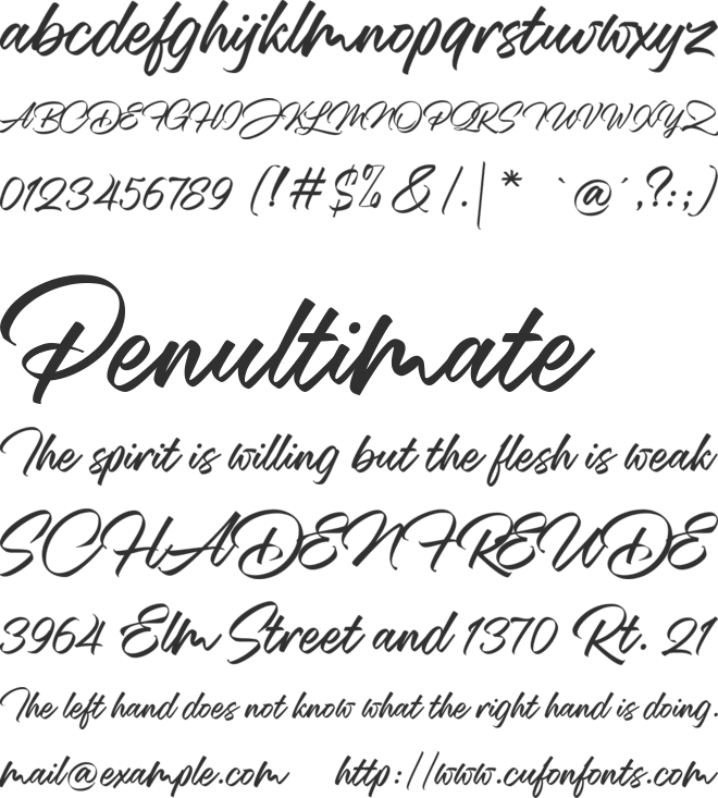 Mansions Brush Script font preview