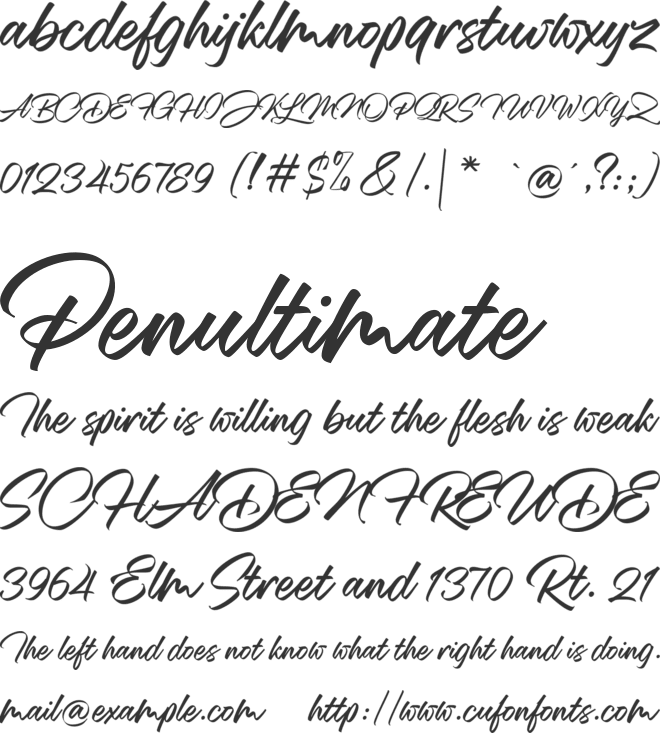 Mansions Brush Script font preview