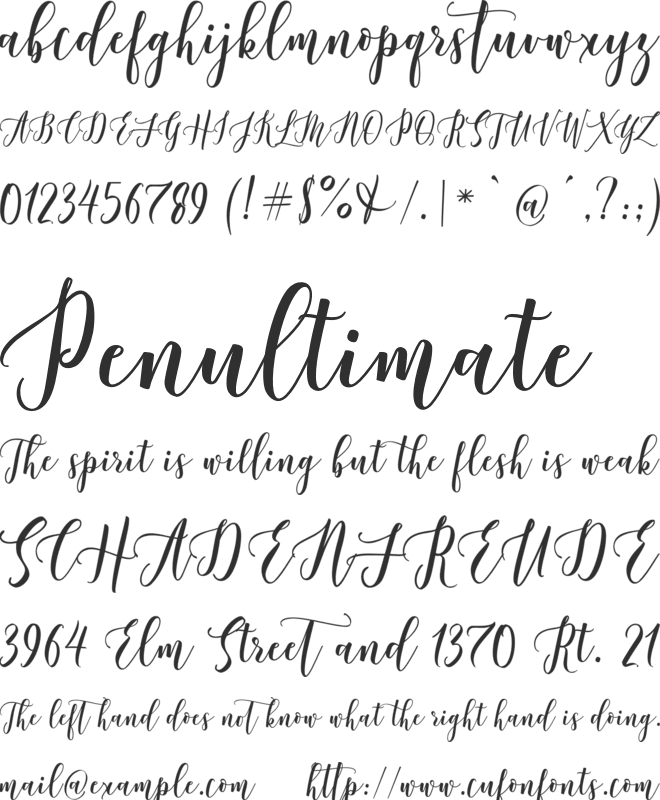 Castilla Script font preview