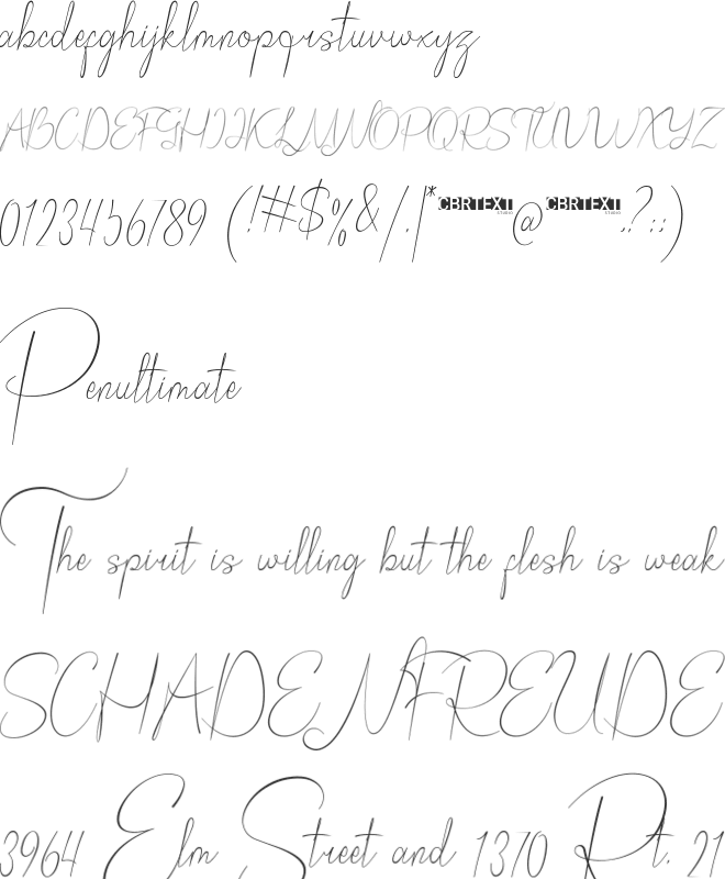 Bordershine Script font preview