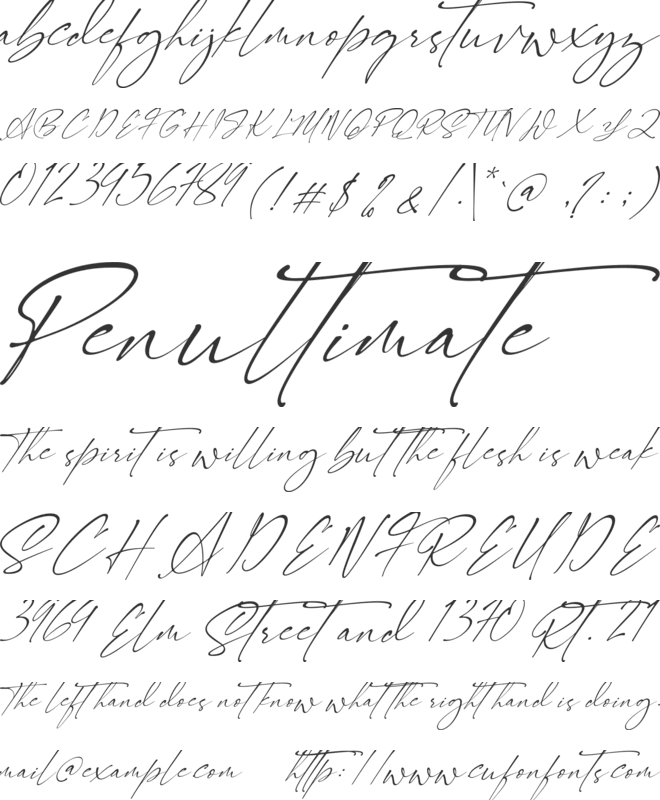 Signatie font preview