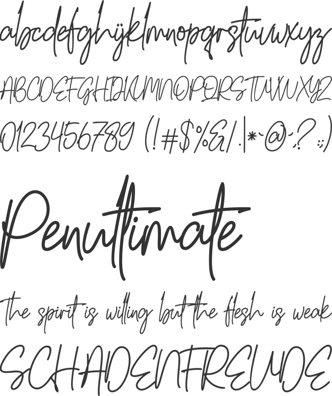 Summer South font preview