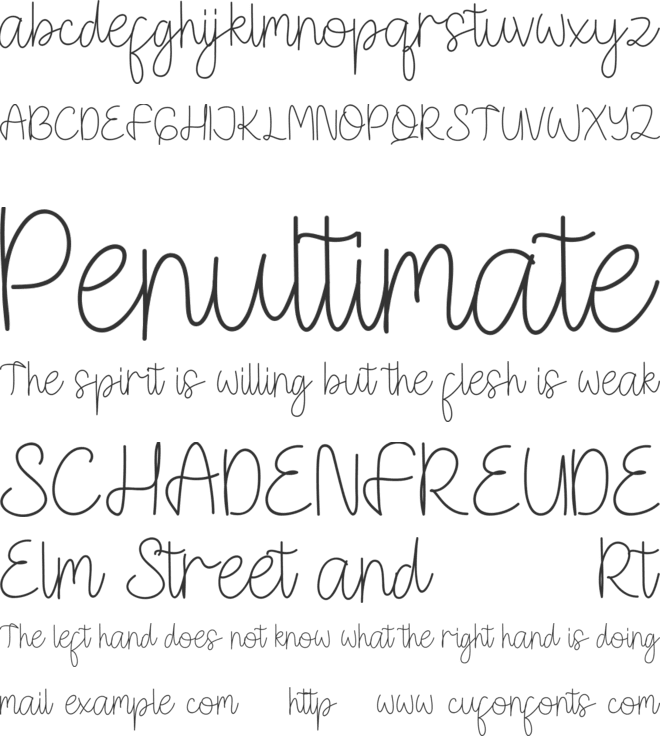 Sweenline font preview