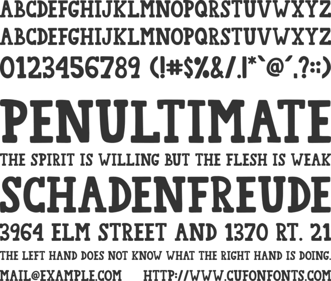 College Star Full font preview