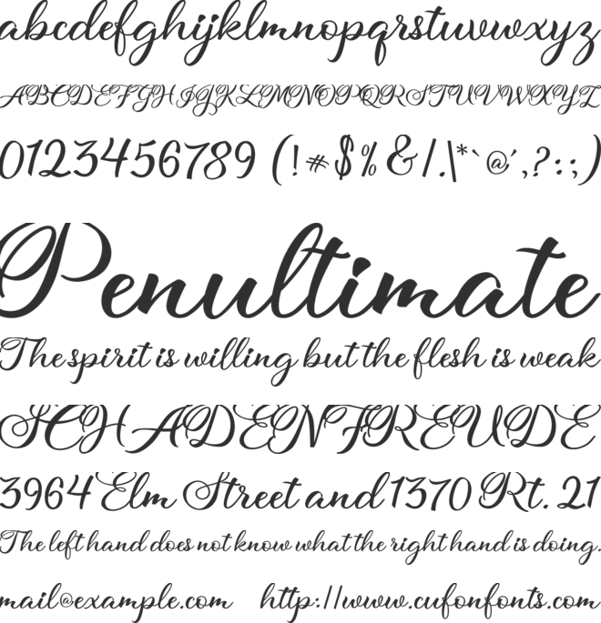 hollya font preview