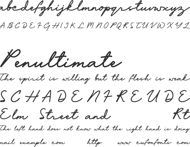 Bafaco_signature font preview