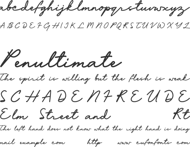 Bafaco_signature font preview