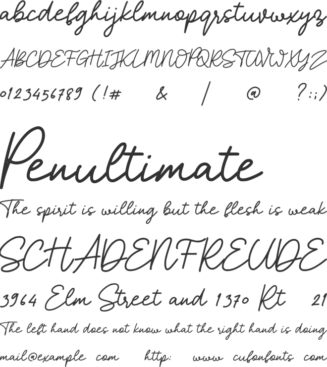 my status font preview