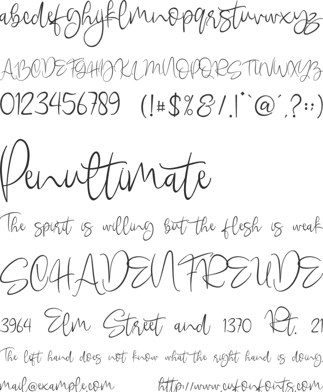 queenbee font preview