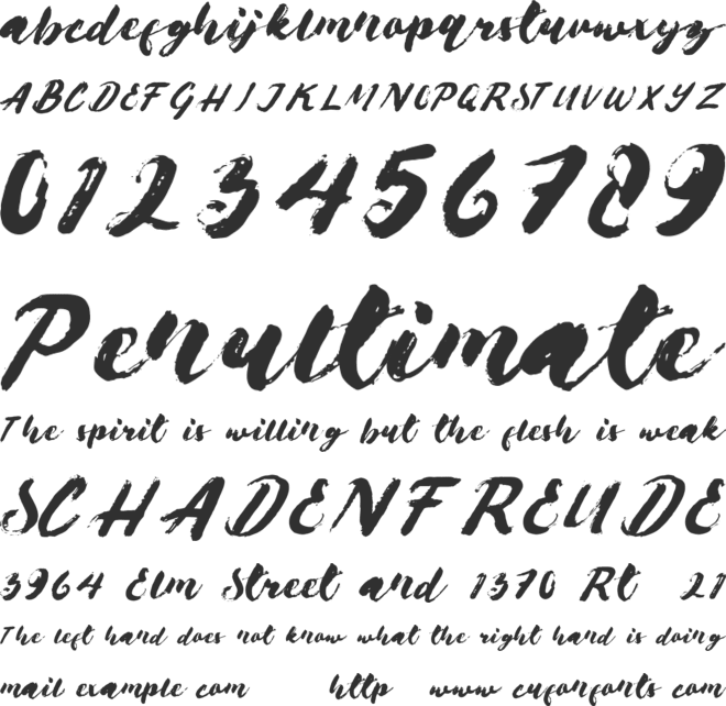 Brushes font preview