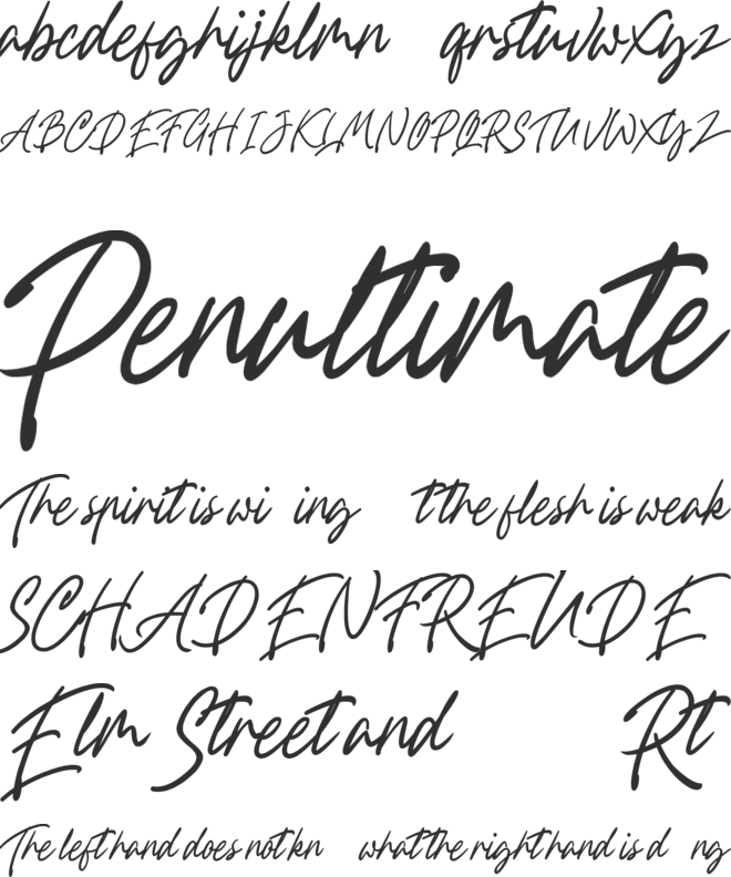 Fountastic Script Personal Use font preview