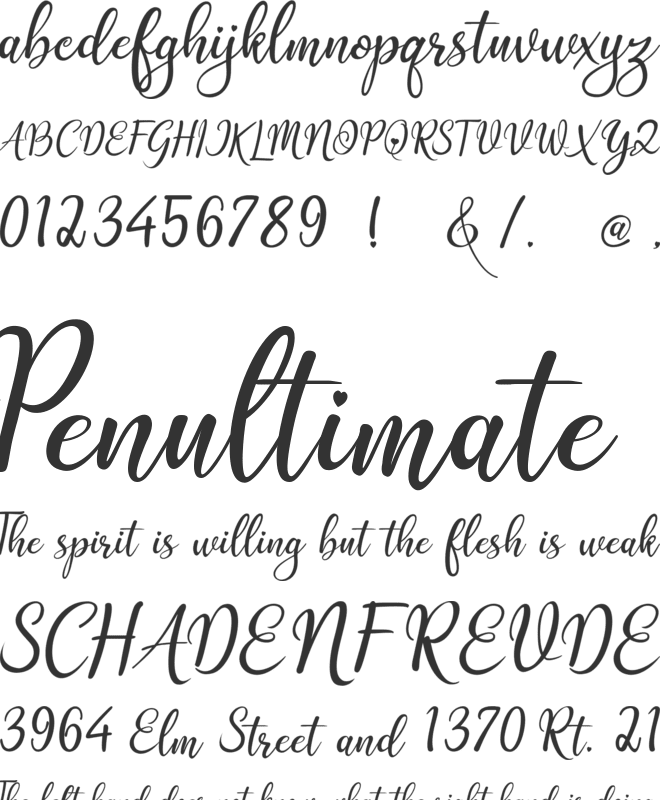 Quindelia font preview