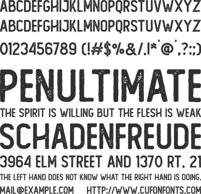 The Foregen Rough One font preview