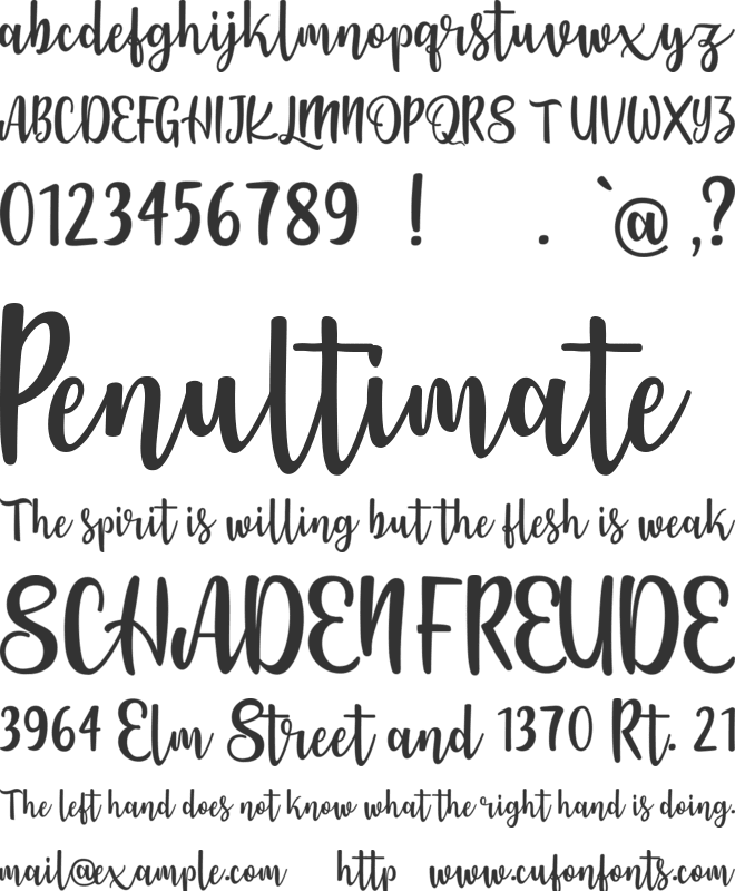 Jennifer Ellis font preview