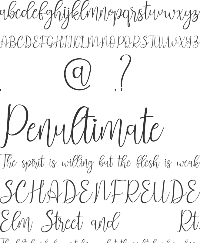 Signalove font preview