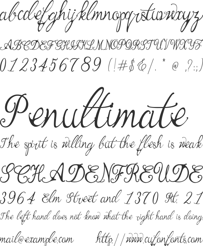 Manhattan Script font preview